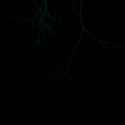 root lose root